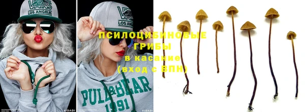 молекула духа Сосновка
