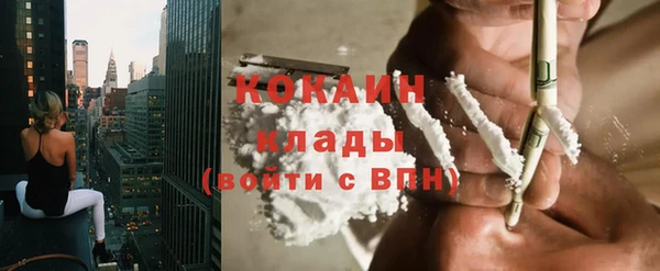 молекула духа Сосновка