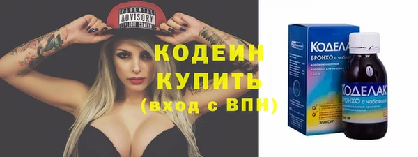 молекула духа Сосновка